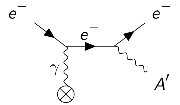 FeynmanDiagramDarkBremsstrahlung.png