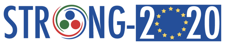 Strong-2020-Logo