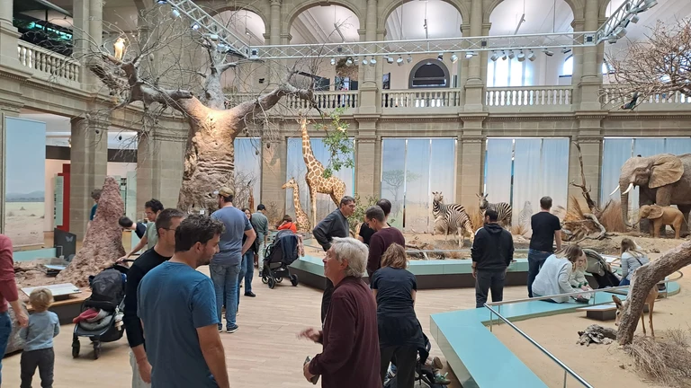 DRD1 Gaseous Detectors School 2025