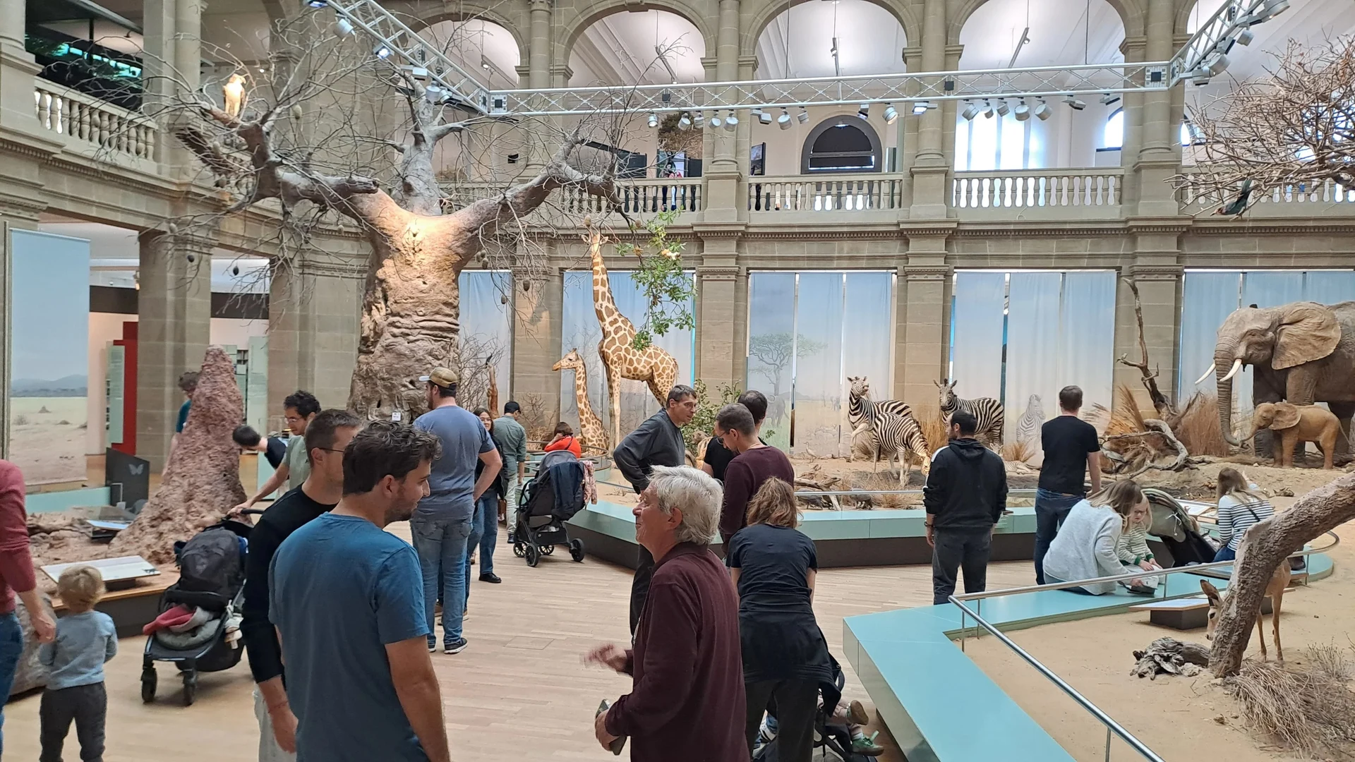 DRD1 Gaseous Detectors School 2025