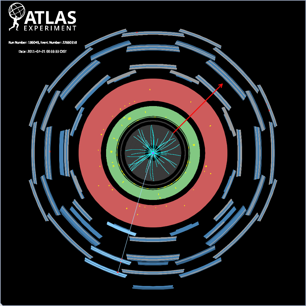 W-boson decay