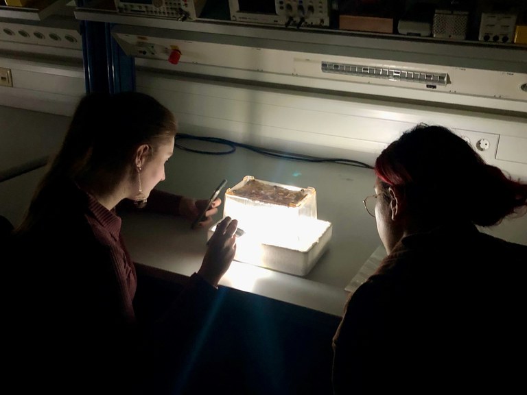 Pupils building a cloud chamber to detect cosmic particles during the MINT-EC Camp