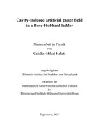 Master thesis Catalin Halati
