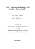 Master thesis Catalin Halati