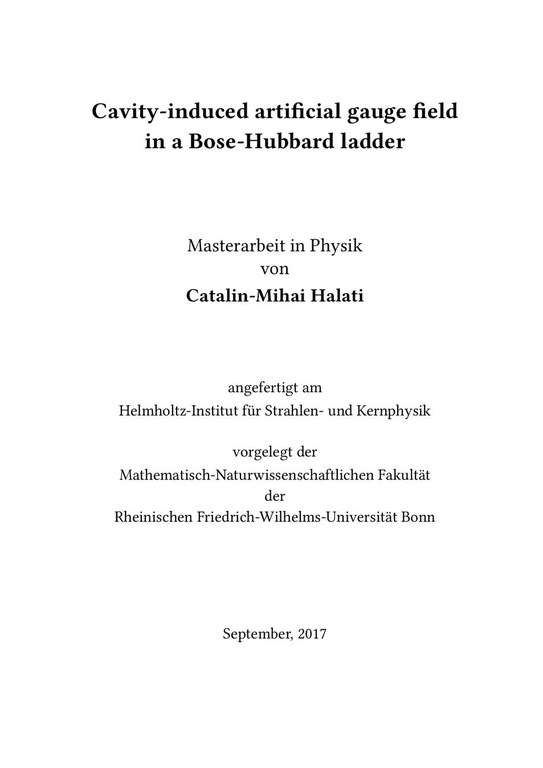 Master thesis Catalin Halati