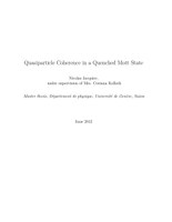 Master thesis Nicolas Jacquier