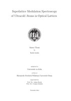 Master thesis Karla Loida