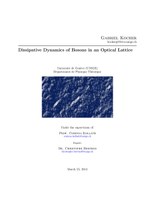 Master thesis Gabriel Kocher