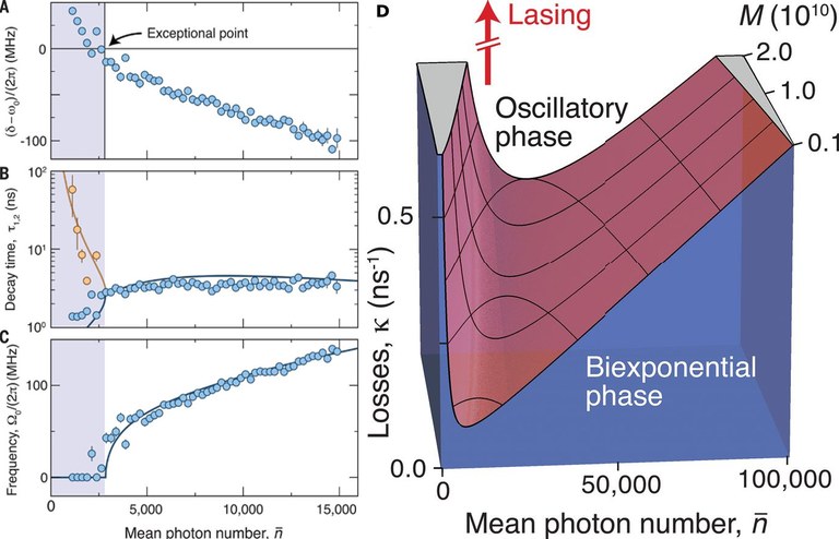 Exceptional point photon BEC Exceptional point photon BEC