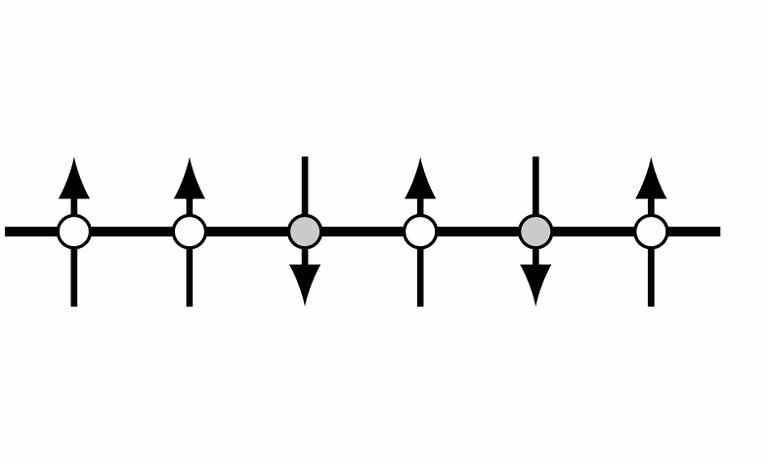 FigSpinChain