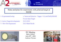Thomas_Crypta_2021.pdf