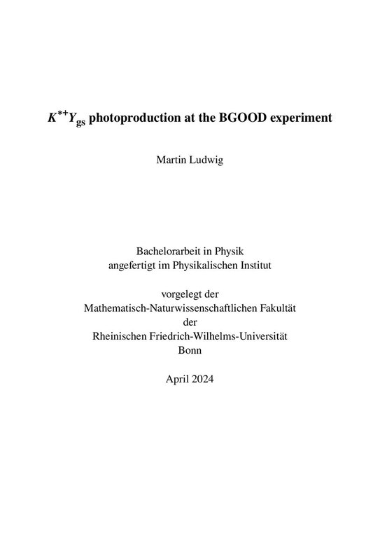 Bachelorarbeit_MartinLudwig.pdf