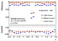 ATLAS Muon Performance